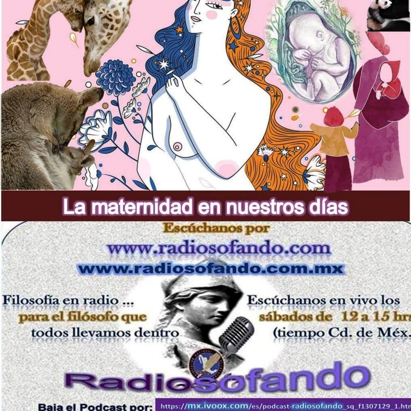 Radiosofando