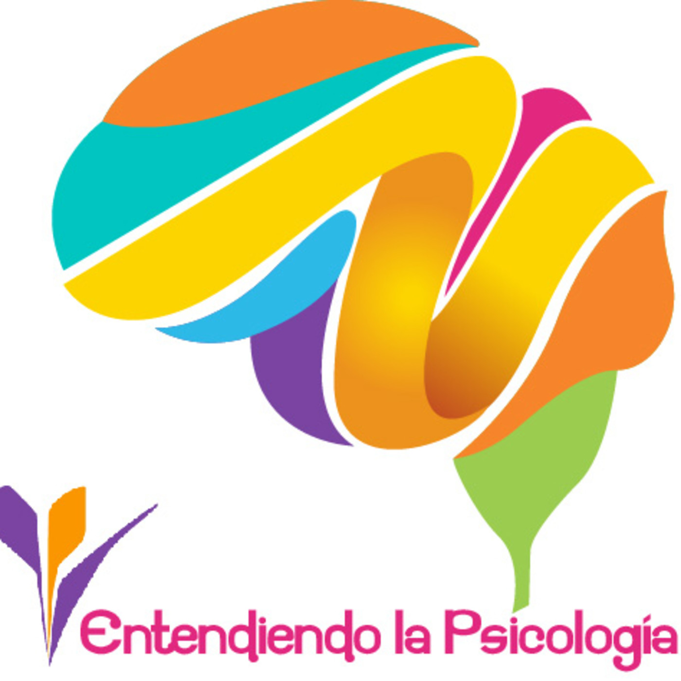 Entendiendo la Psicología