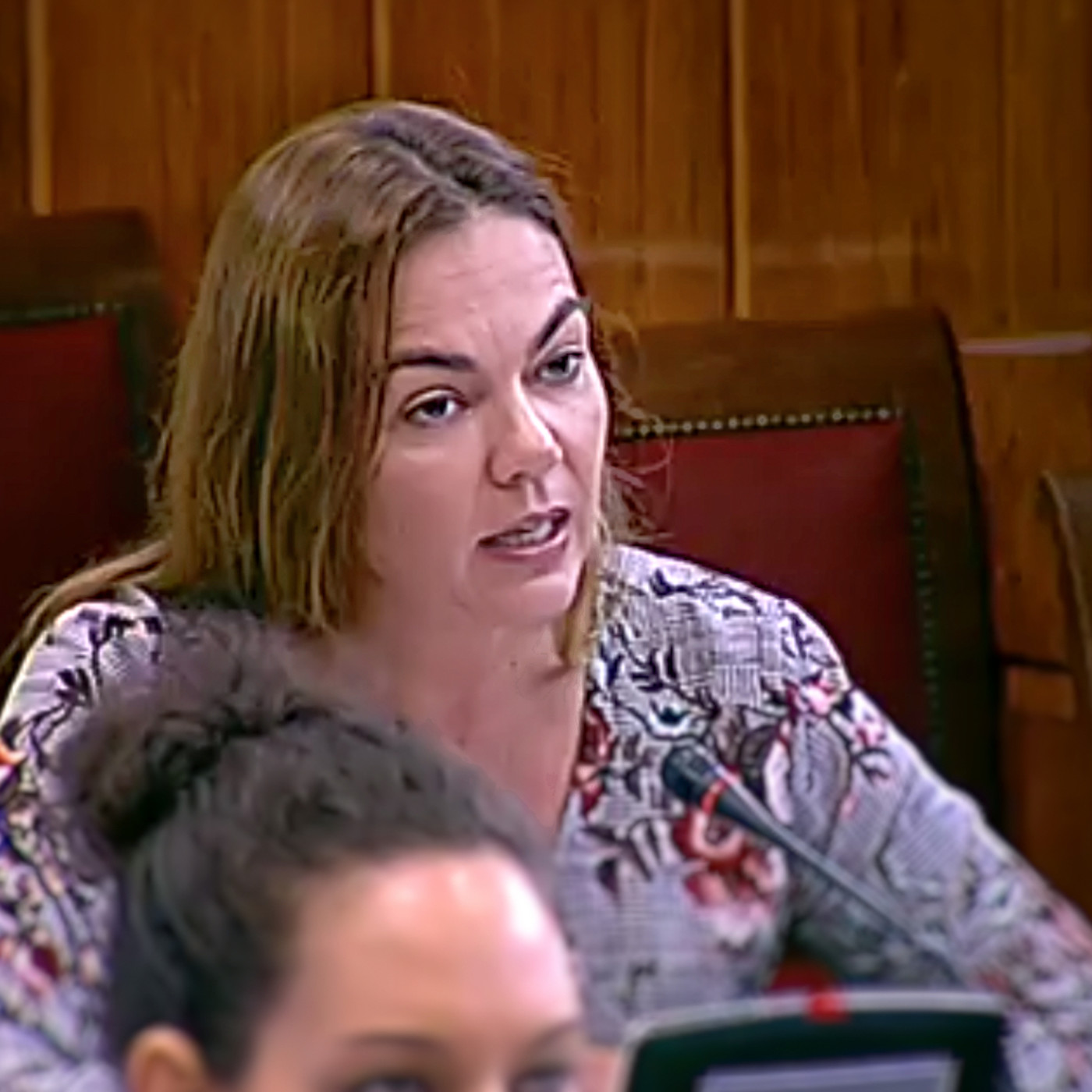 Nueva Canarias Senado