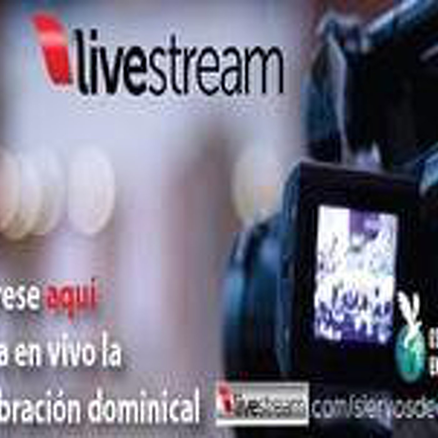 Predicaciones Domingo