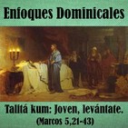 embed image