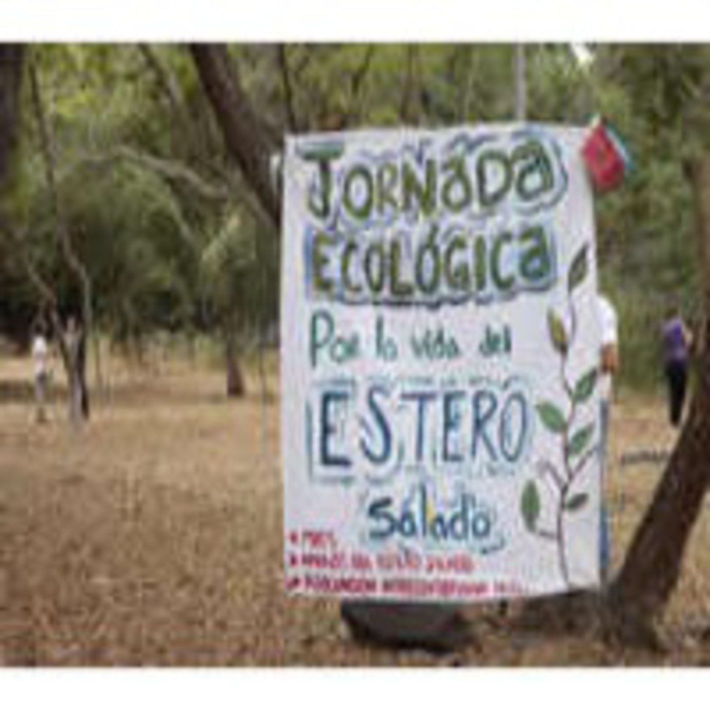 Planeta Verde Azul / Planeta Antitaurino