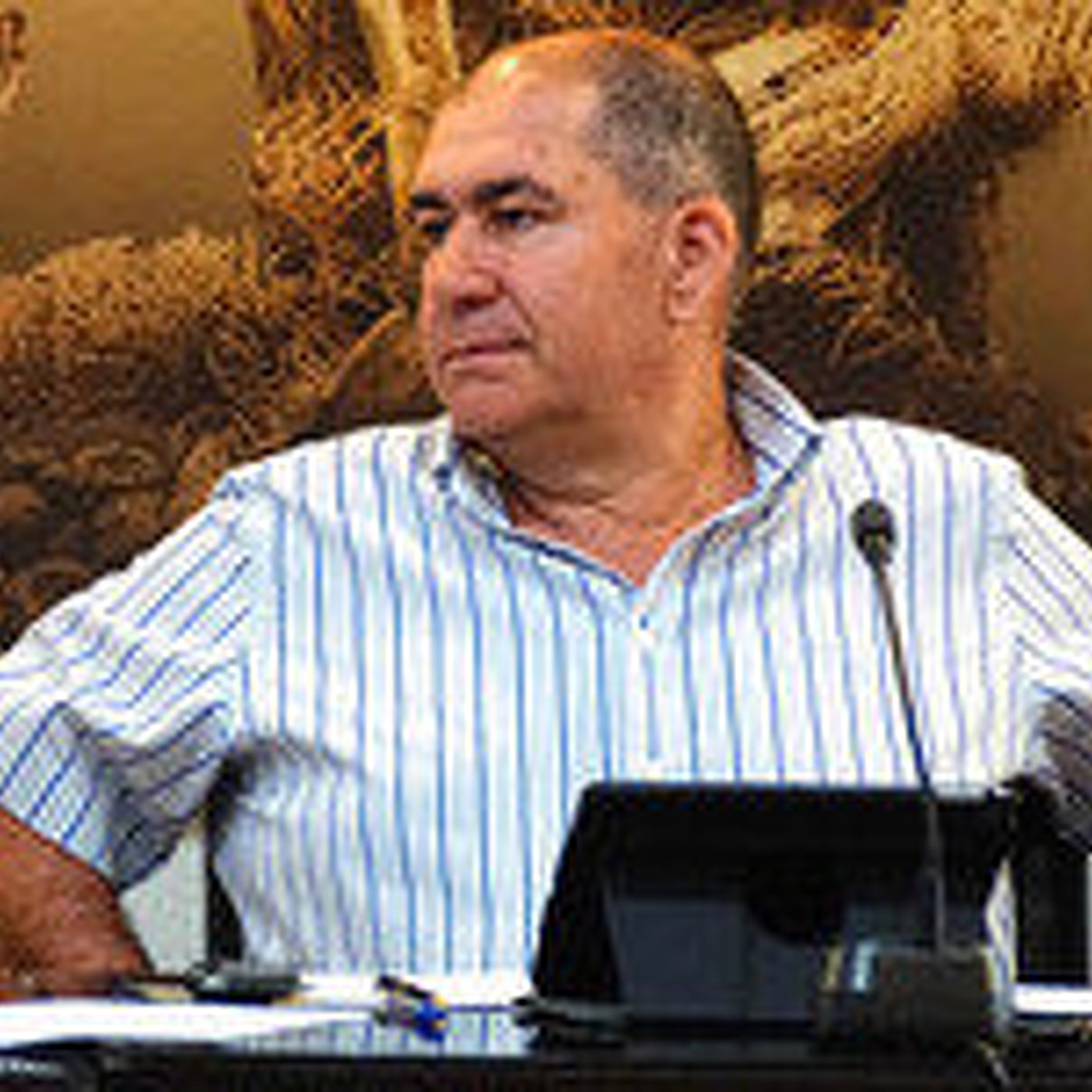 Ecos del Pleno. Utilización del término vicealcaldesa 08-IX-15