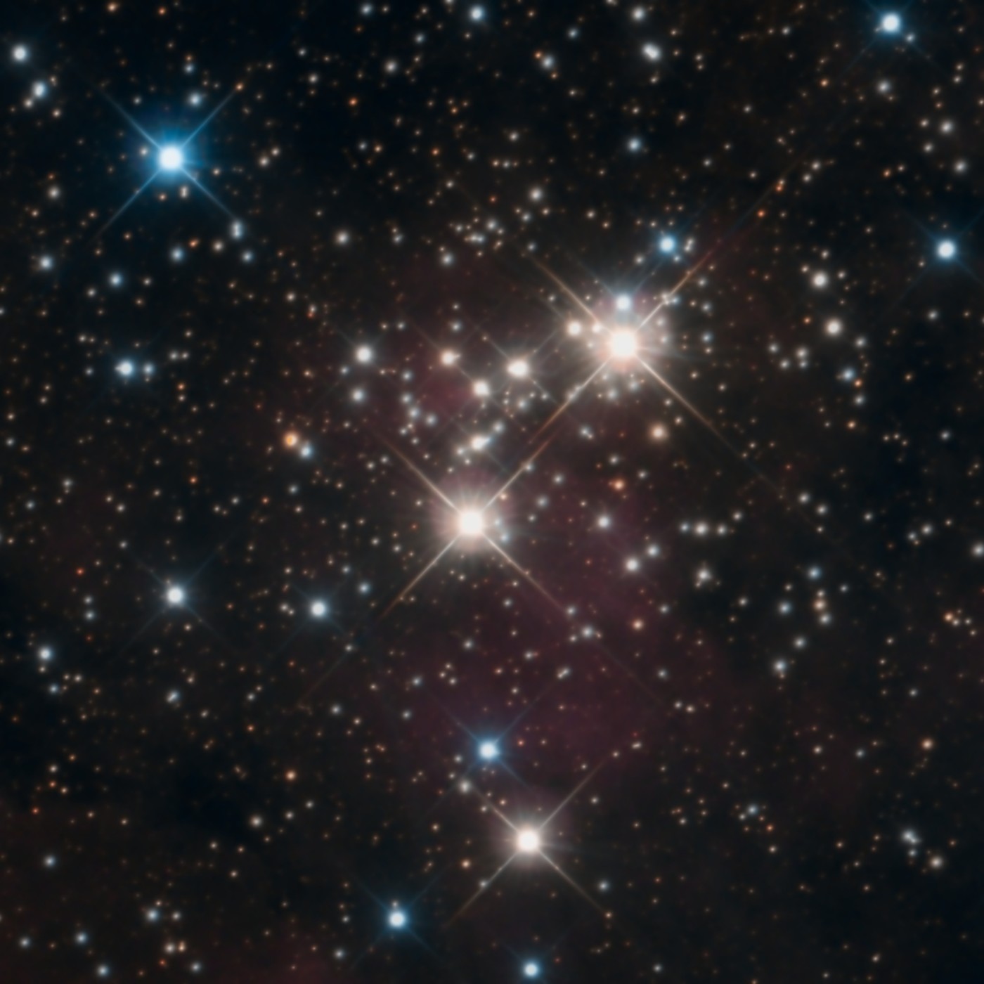 Hijos del Cosmos: El pasado y futuro del ser humano