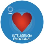 Galleta No. 11. Enfoque en la Meta, Fernando Palacio