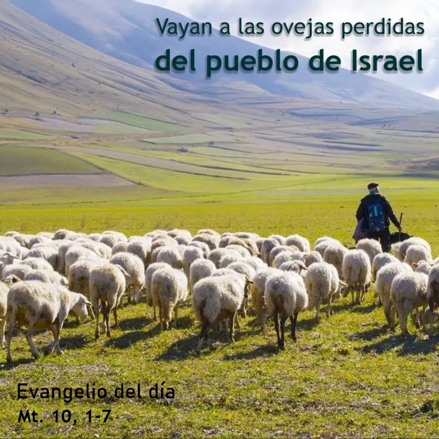 8 de julio de 2020