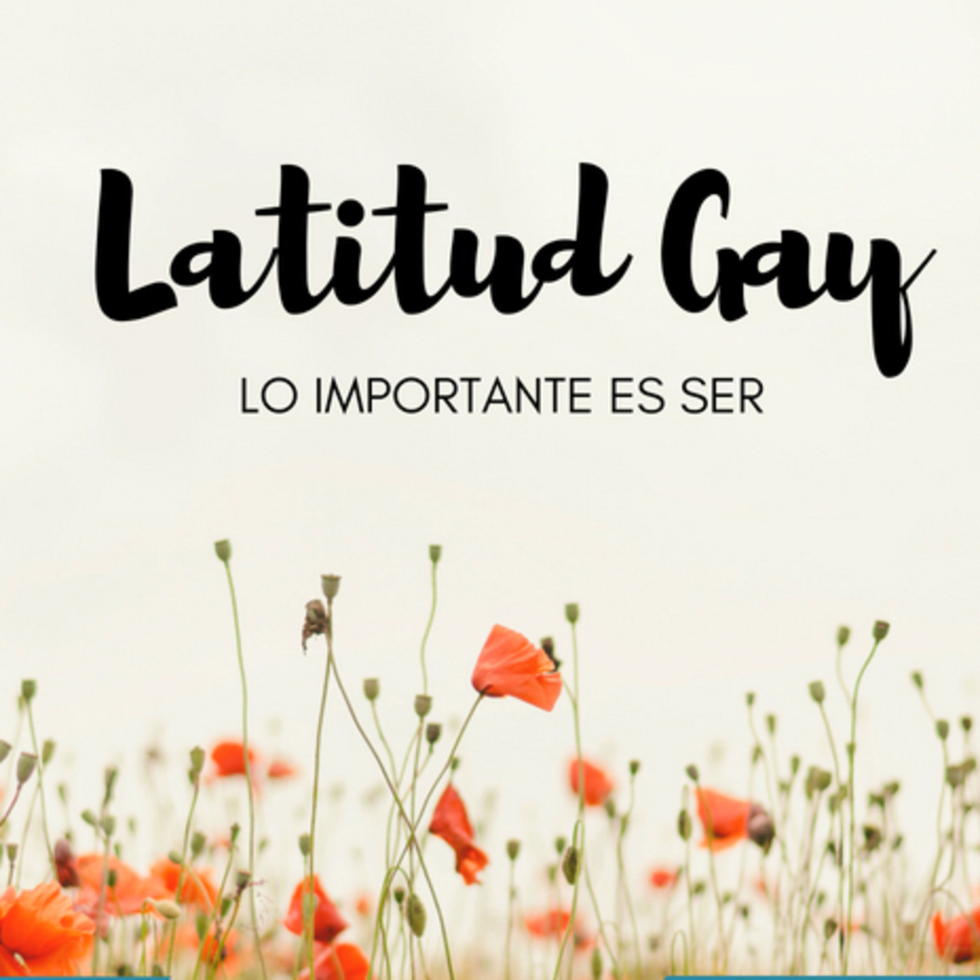 LATITUD GAY 2017/2018