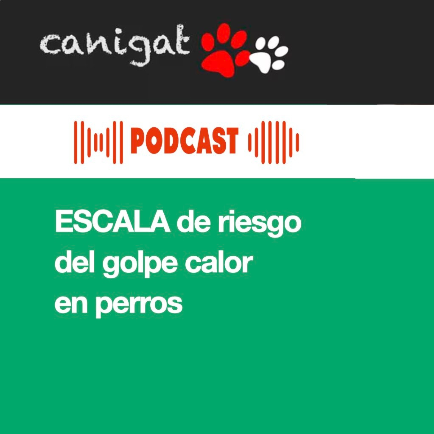 Consejos veterinarios de perros y gatos by canigat