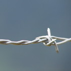Libertad