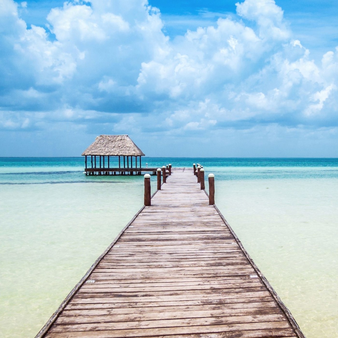 Los imperdibles de la Viajera