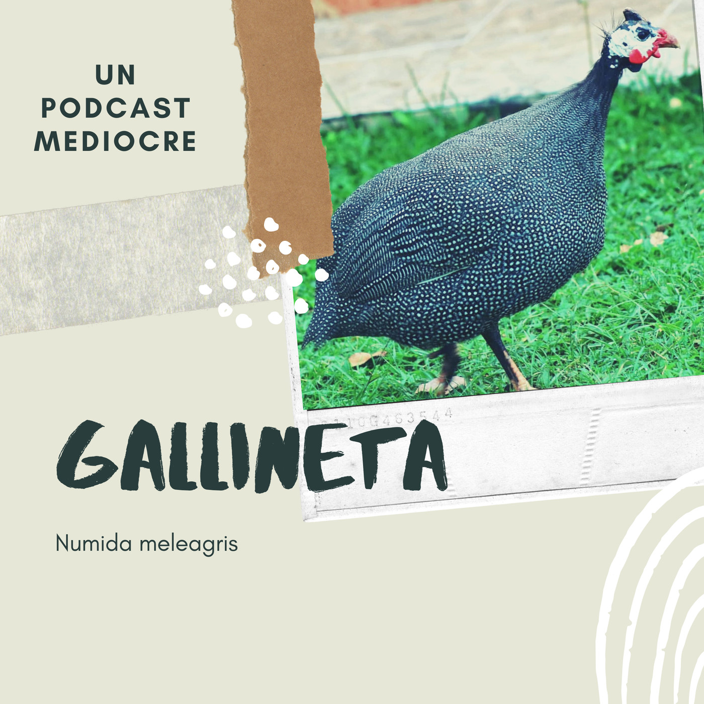 Un Podcast Mediocre