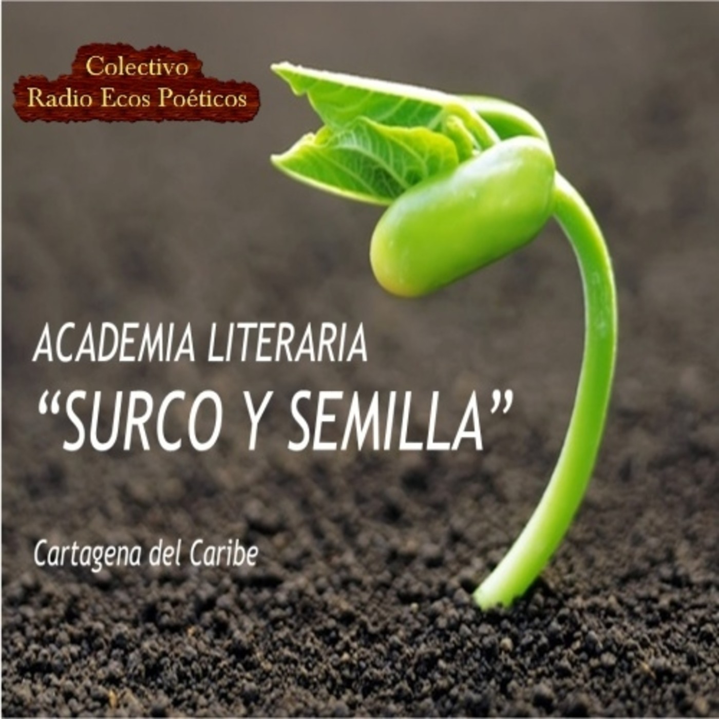 ACADEMIA LITERARIA SURCO Y SEMILLA