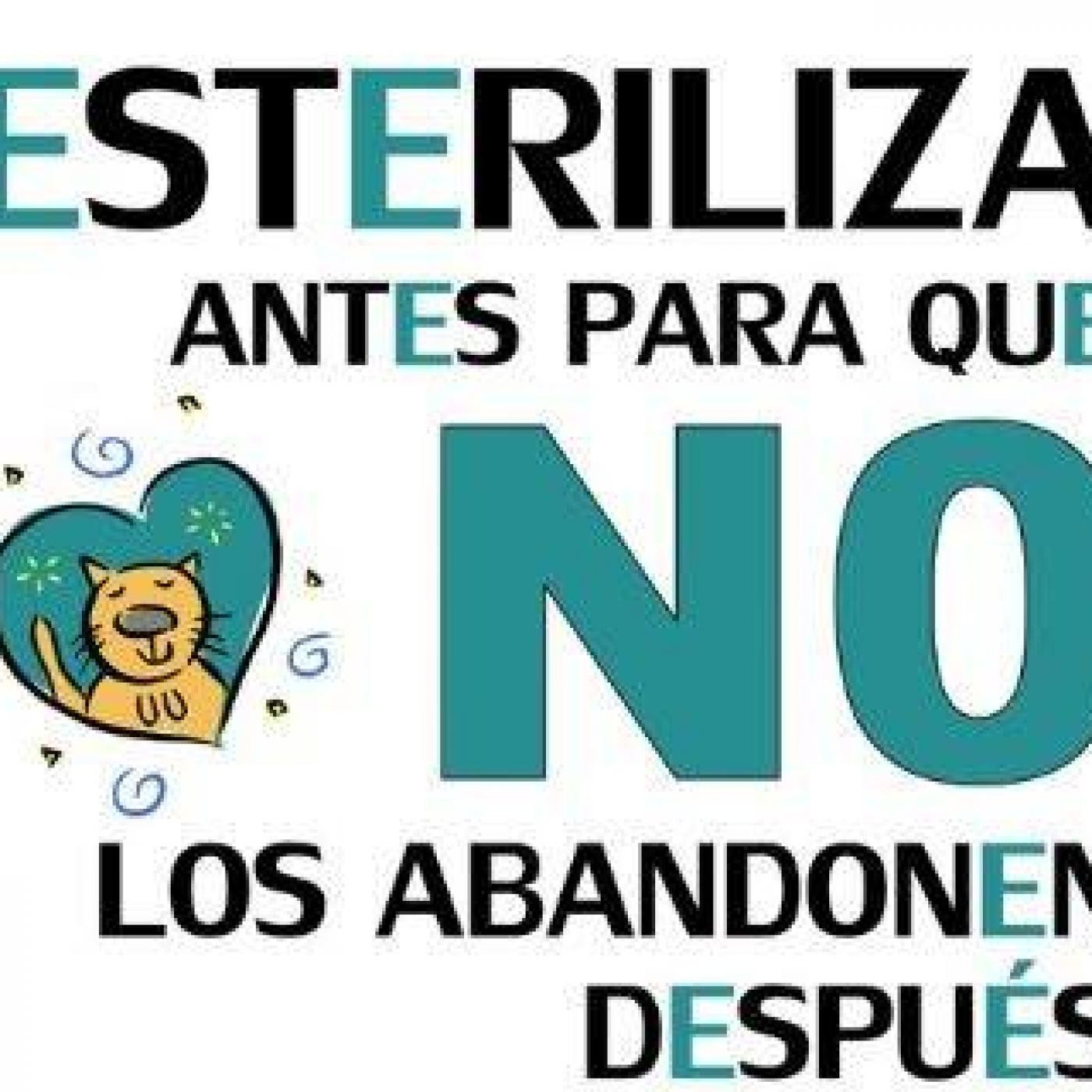 Nuestras Mascotas - Esterilización
