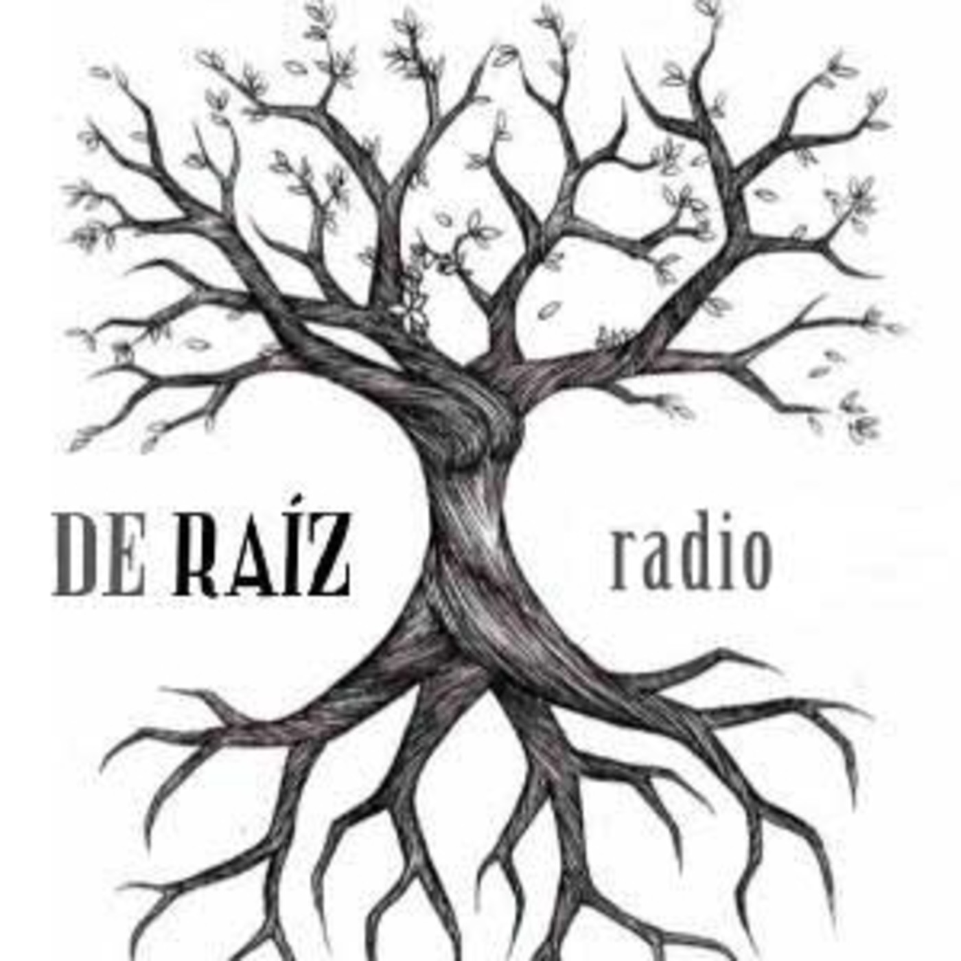De Raíz Radio