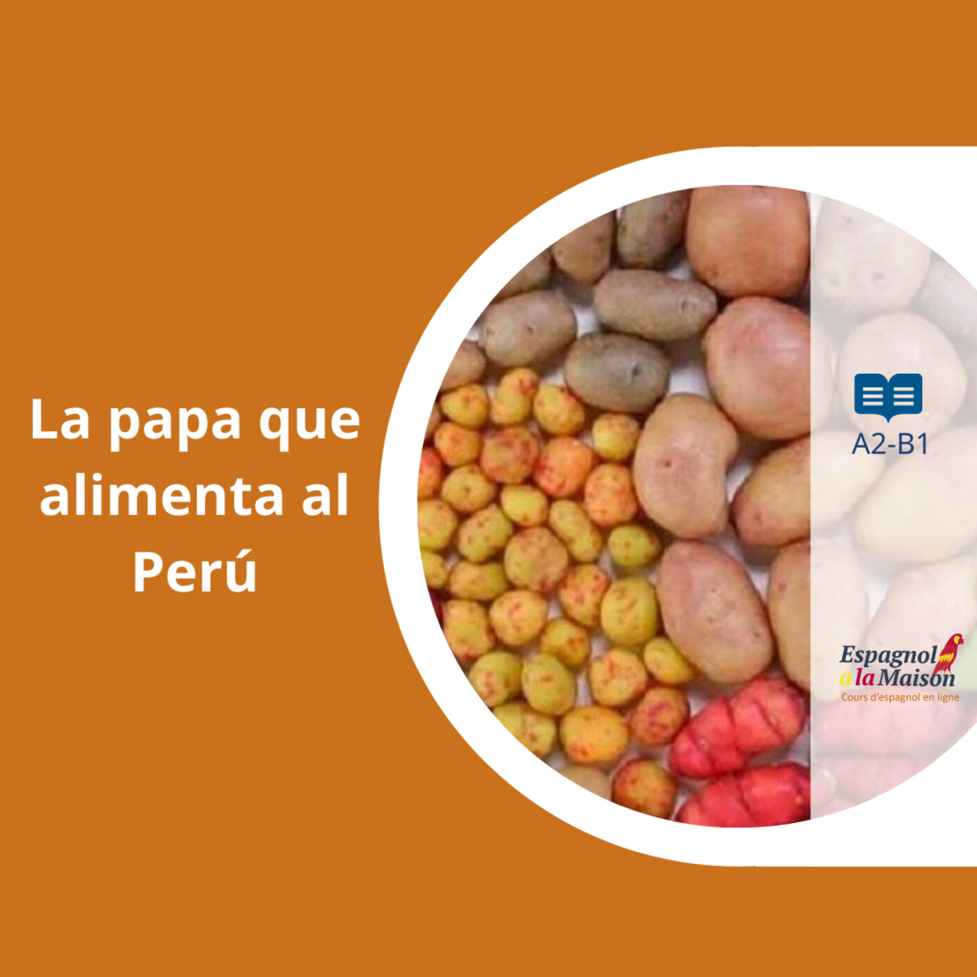 Articles en espagnol. Compréhension orale