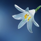 Perpetuum Mobile #127. Impresiones primaverales
