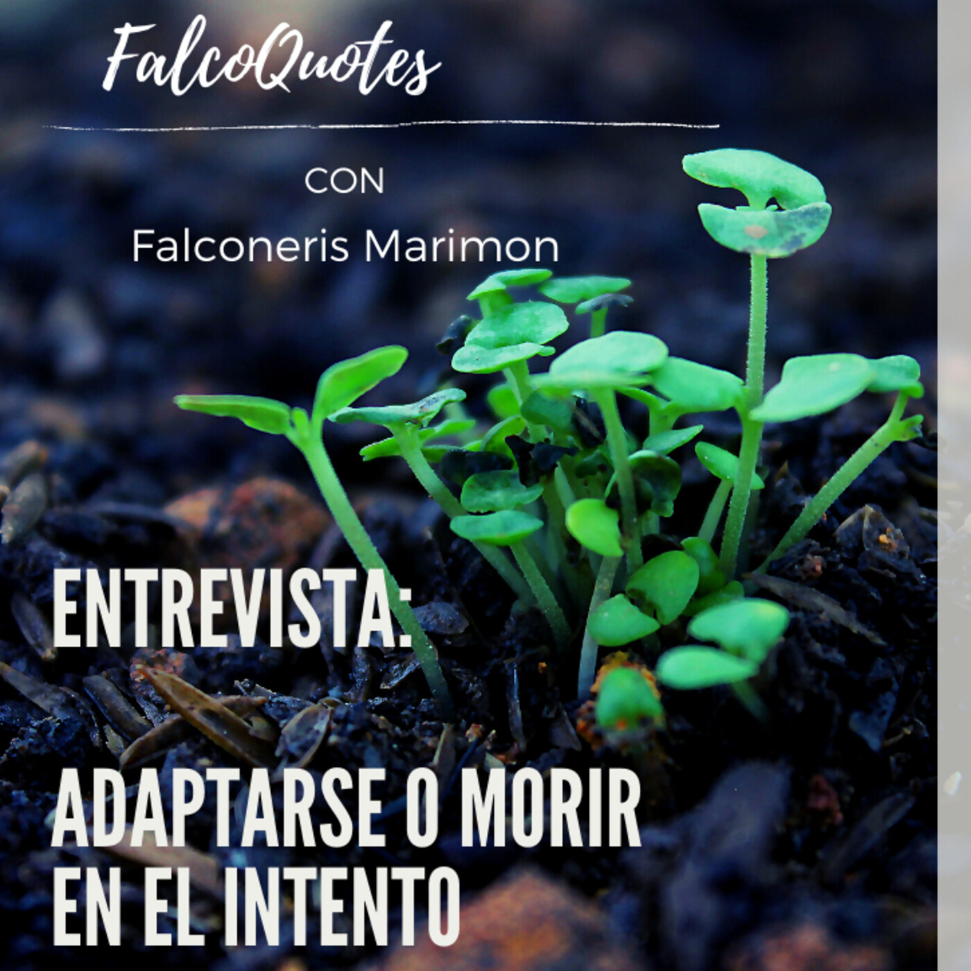 Falcoquotes: Emprendimiento Y Liderazgo