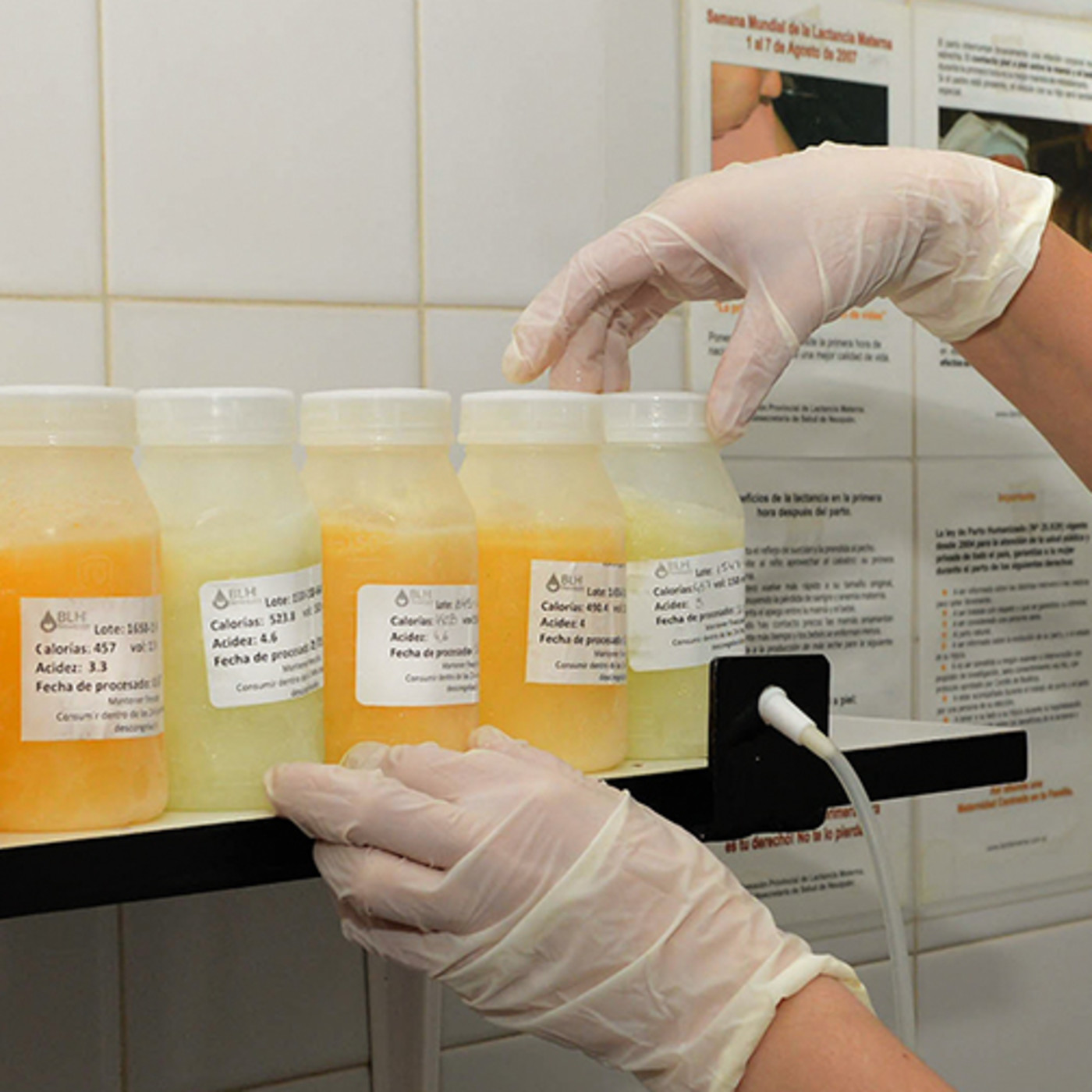 Podcast Comunitario Sayhueque