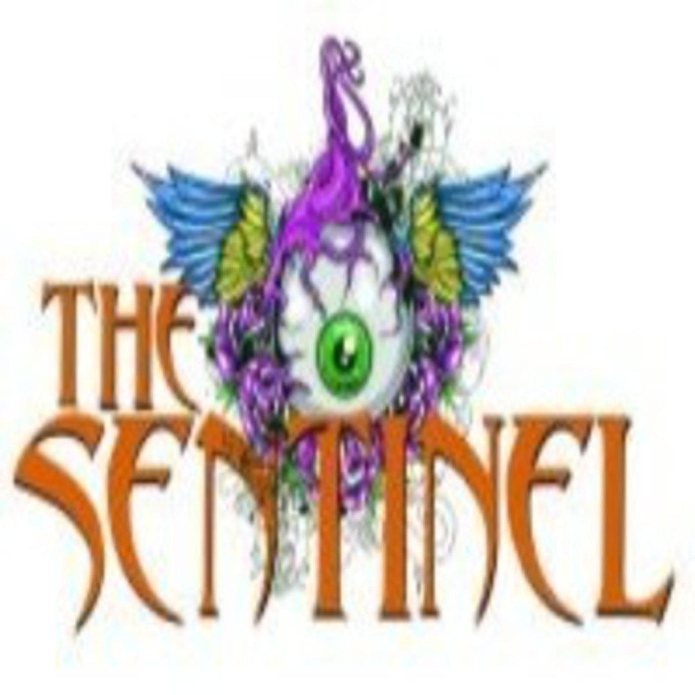 Radio The Sentinel 19-01-2015 episode artwork