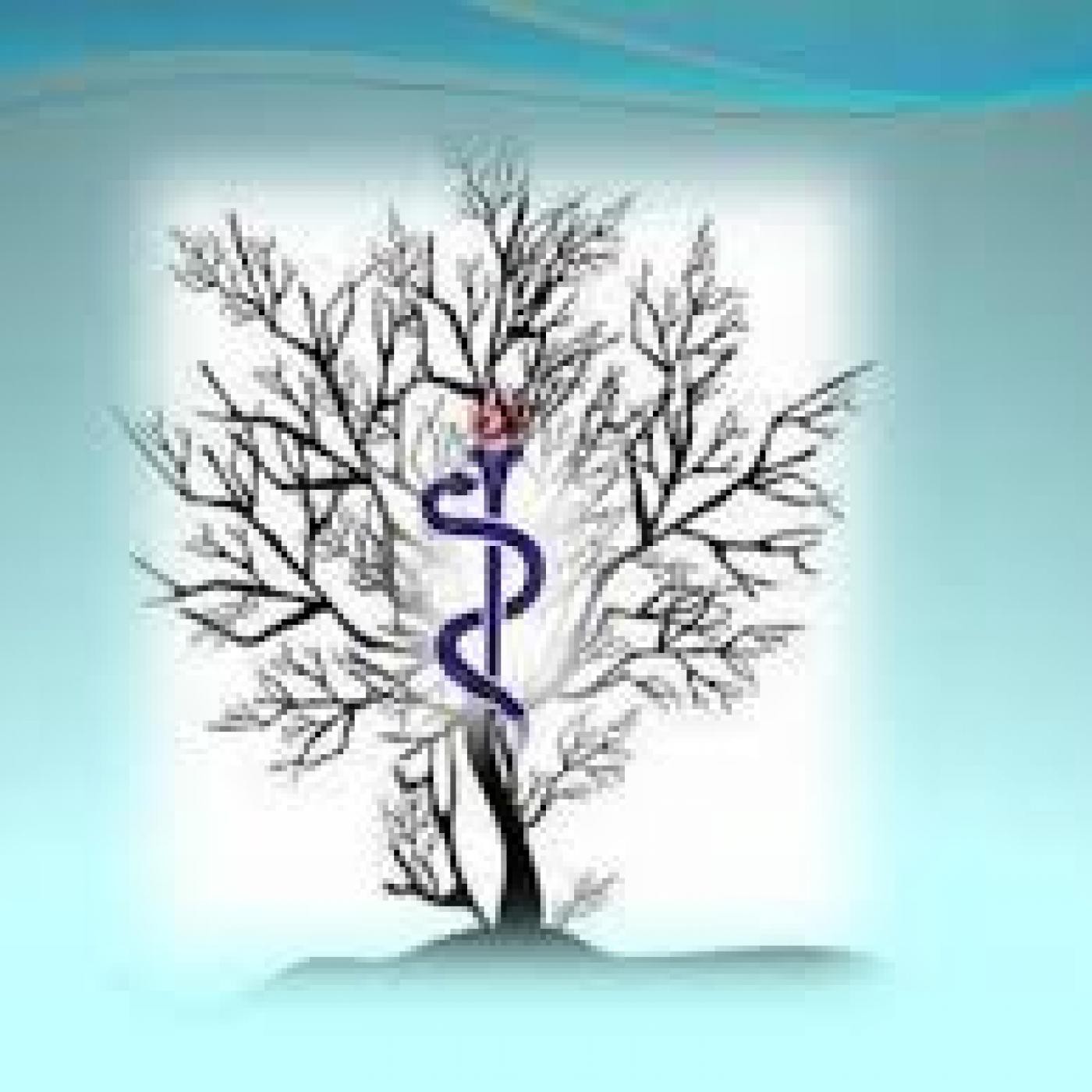 Radio en la Vibración Mágica