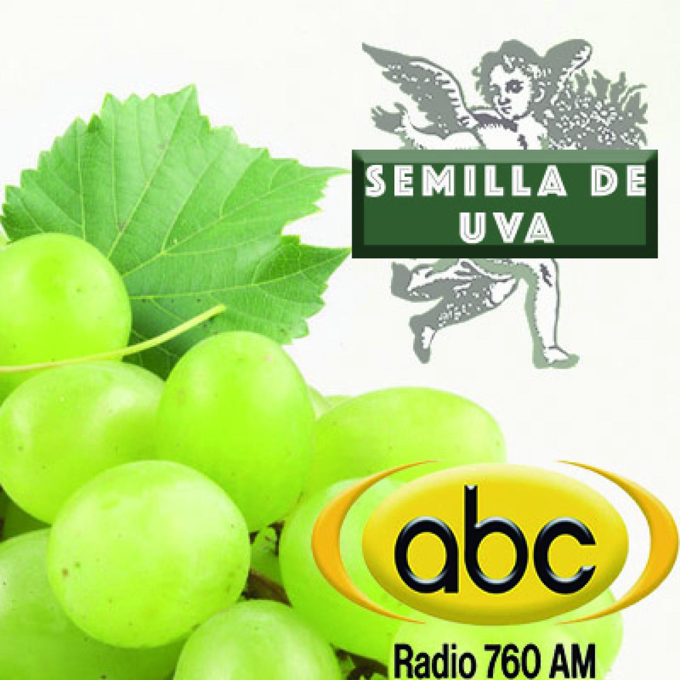 EL ÁNGEL DE TU SALUD- Rodrigo Mondragón - SEMILLA DE UVA episode artwork