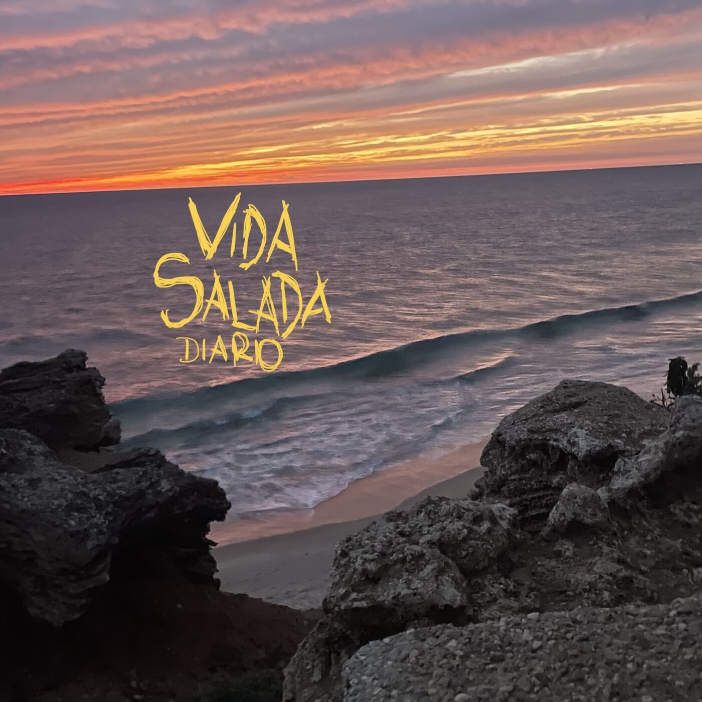 VIDA SALADA DIARIO