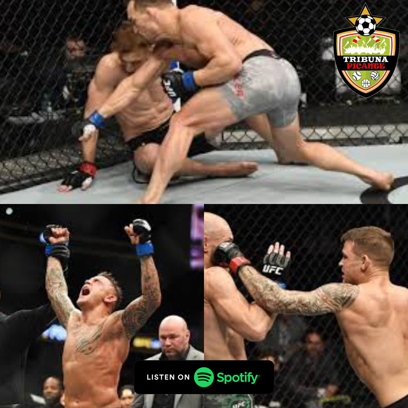 Podcast - El análisis de las dos peleas estelares del UFC 257 episode artwork
