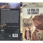 Viaje a la Prehistoria (2de6): La vida en los cañones