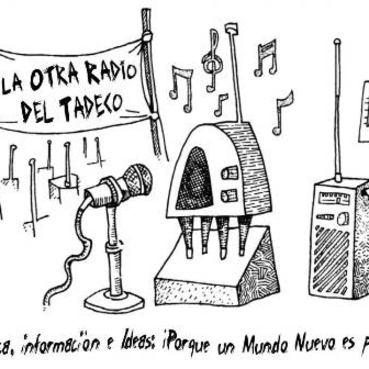 Audios Taller Desarrollo Comunitario A.C.