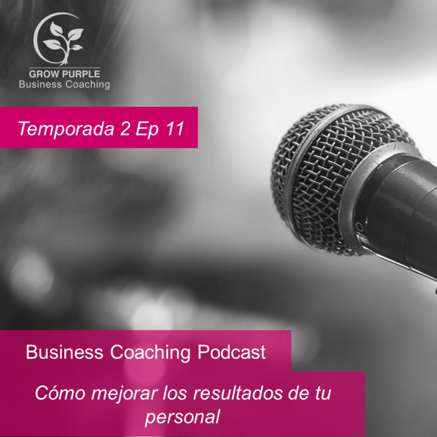Grow Purple Business Coaching
