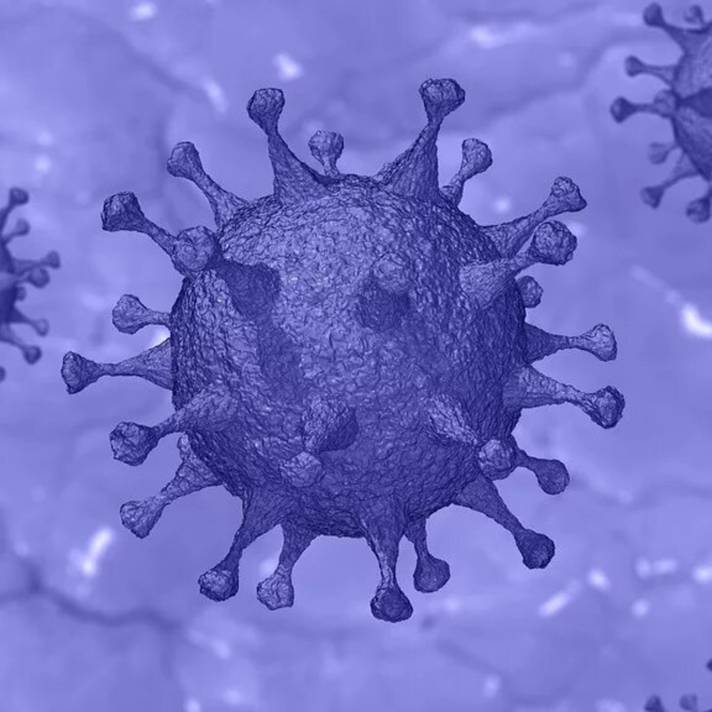 Especials coronavirus