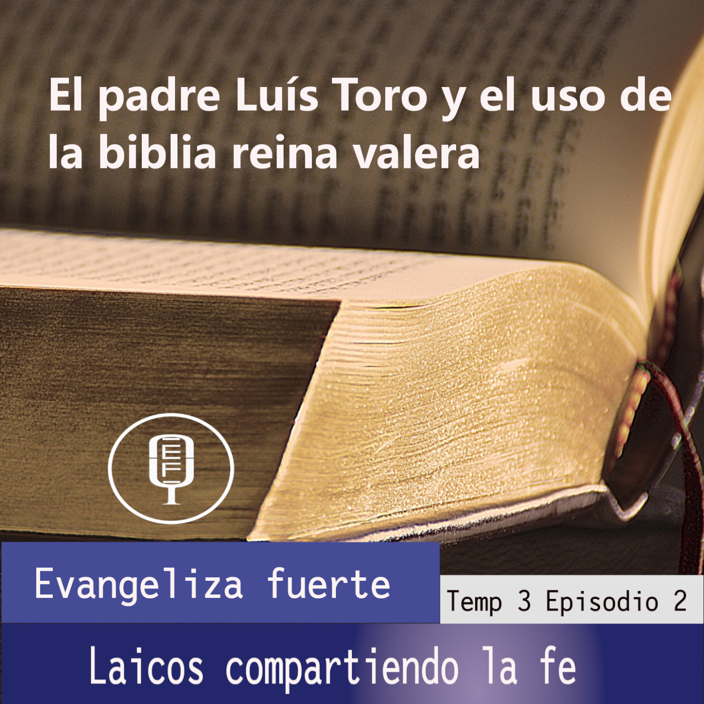 Laicos compartiendo la fe