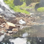 embed image