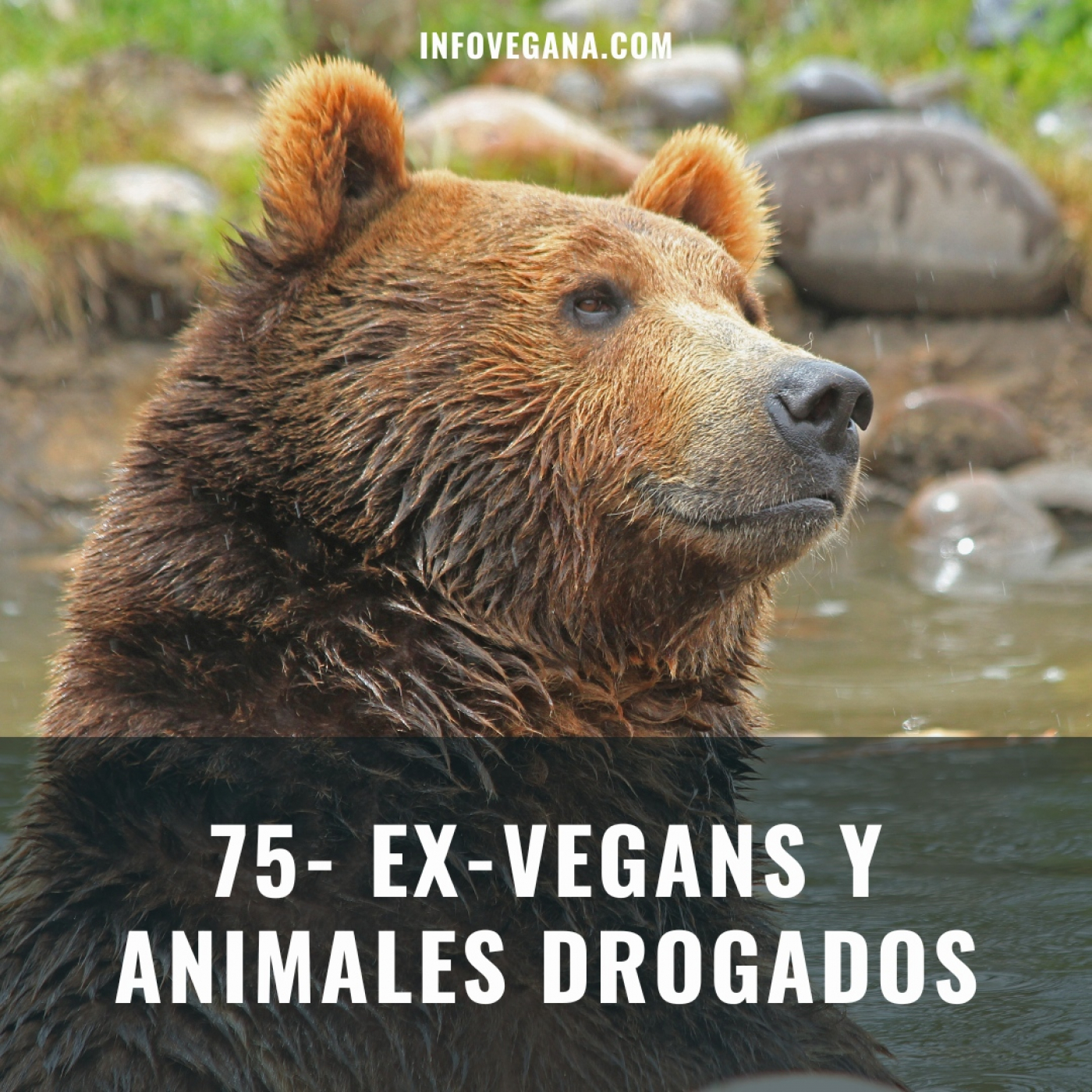Infovegana, podcast de veganismo y sostenibilidad
