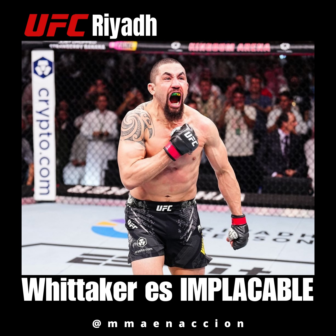 MMA en acción