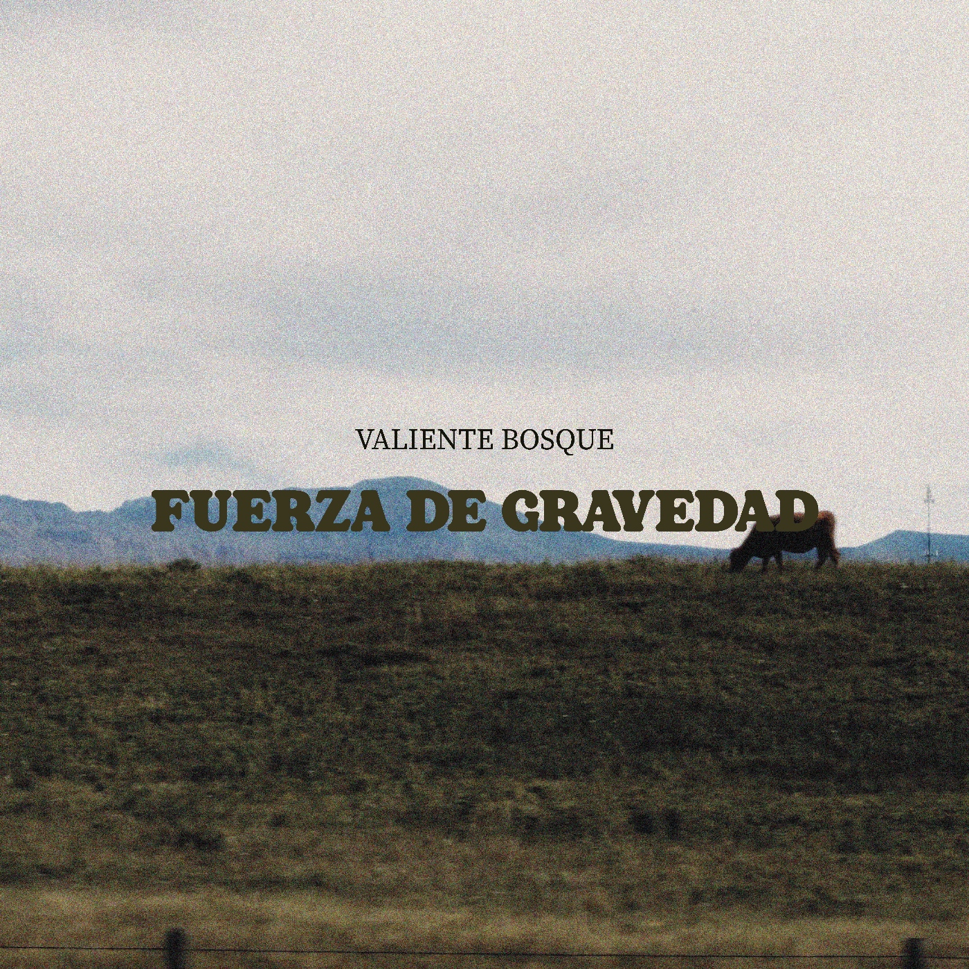 TM387 Valiente Bosque, Wakame, Landa, Biela y más novedades musicales episode artwork