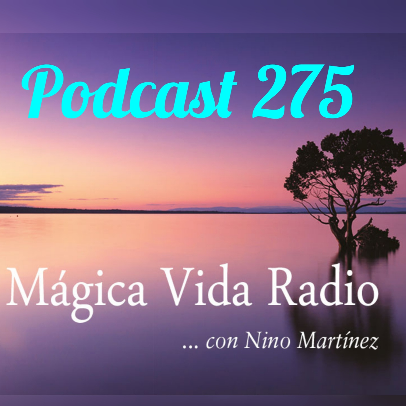 Mágica Vida Radio