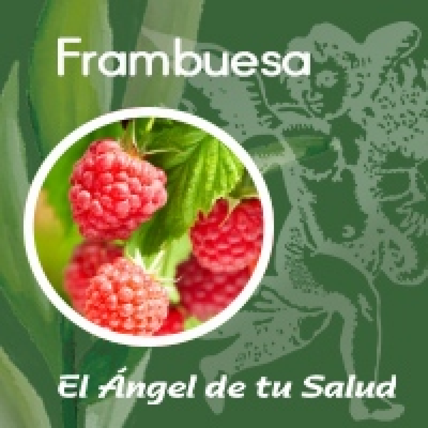 El Ángel de tu Salud - Frambuesa** episode artwork