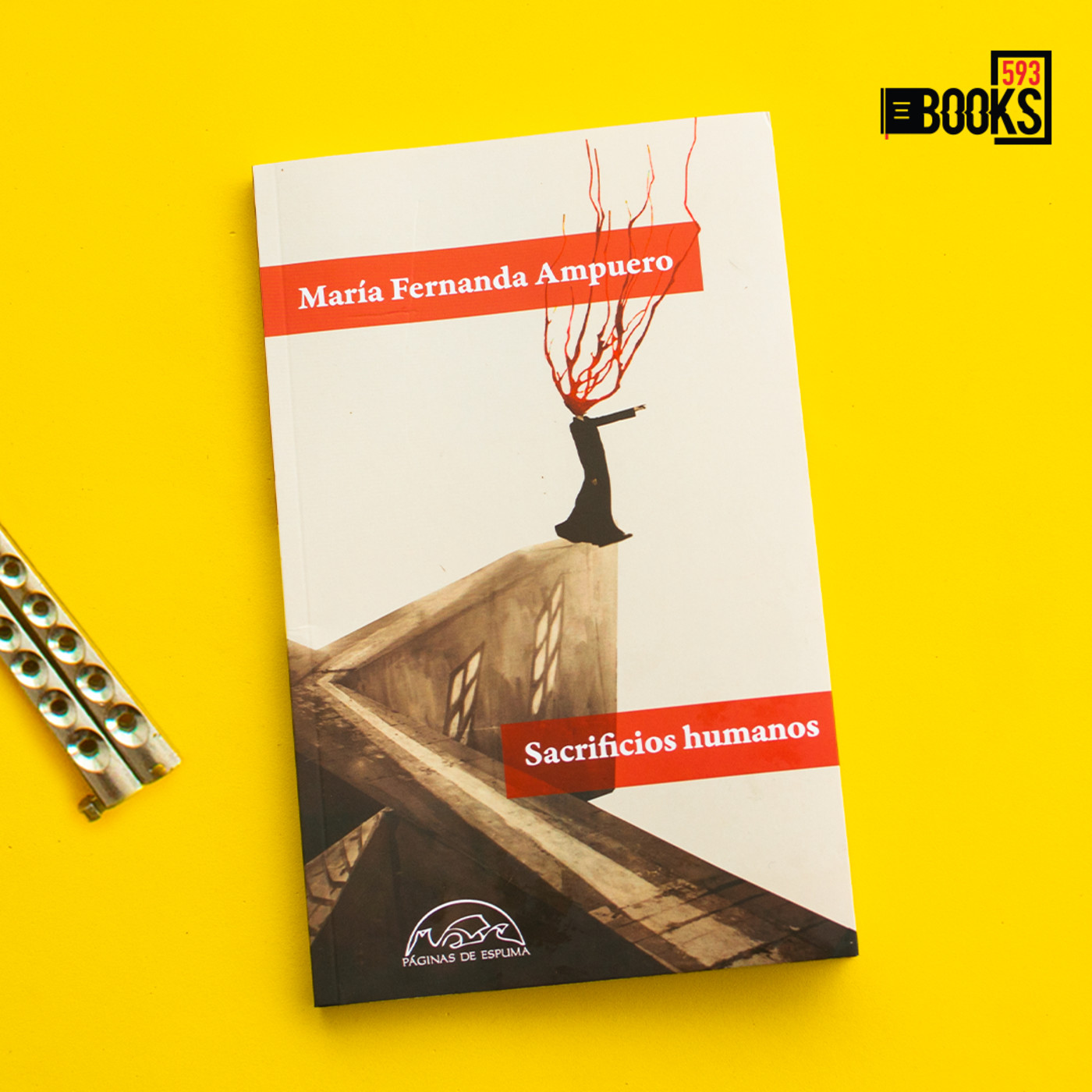 Books593: Reseñas de libros destacados y entrevis