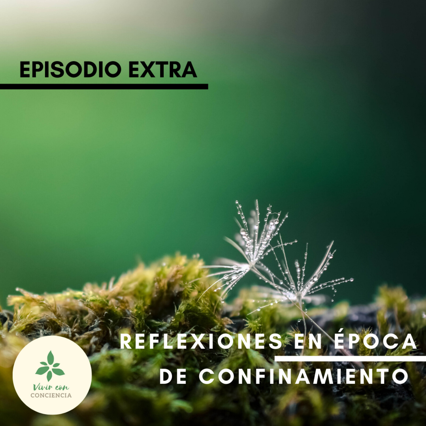 Vivir con Conciencia