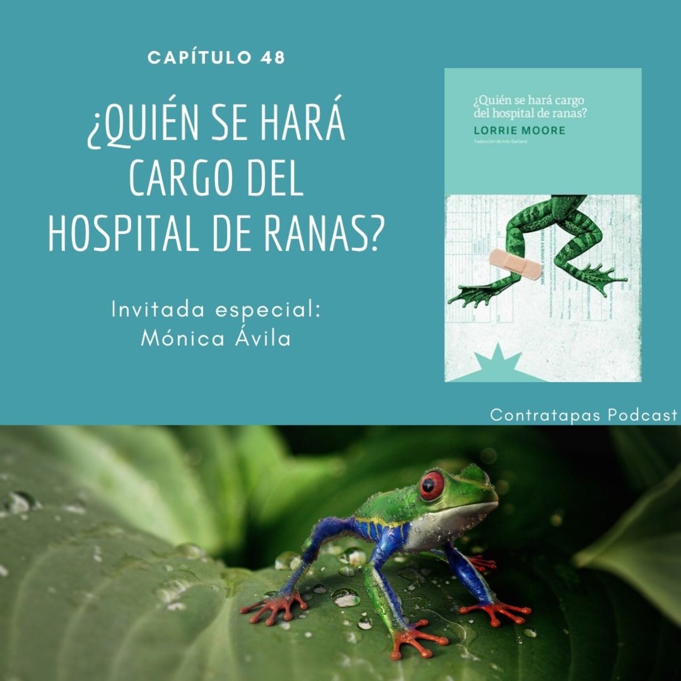 48. ¿Quién se hará cargo del hospital de ranas? · Dilemas morales episode artwork