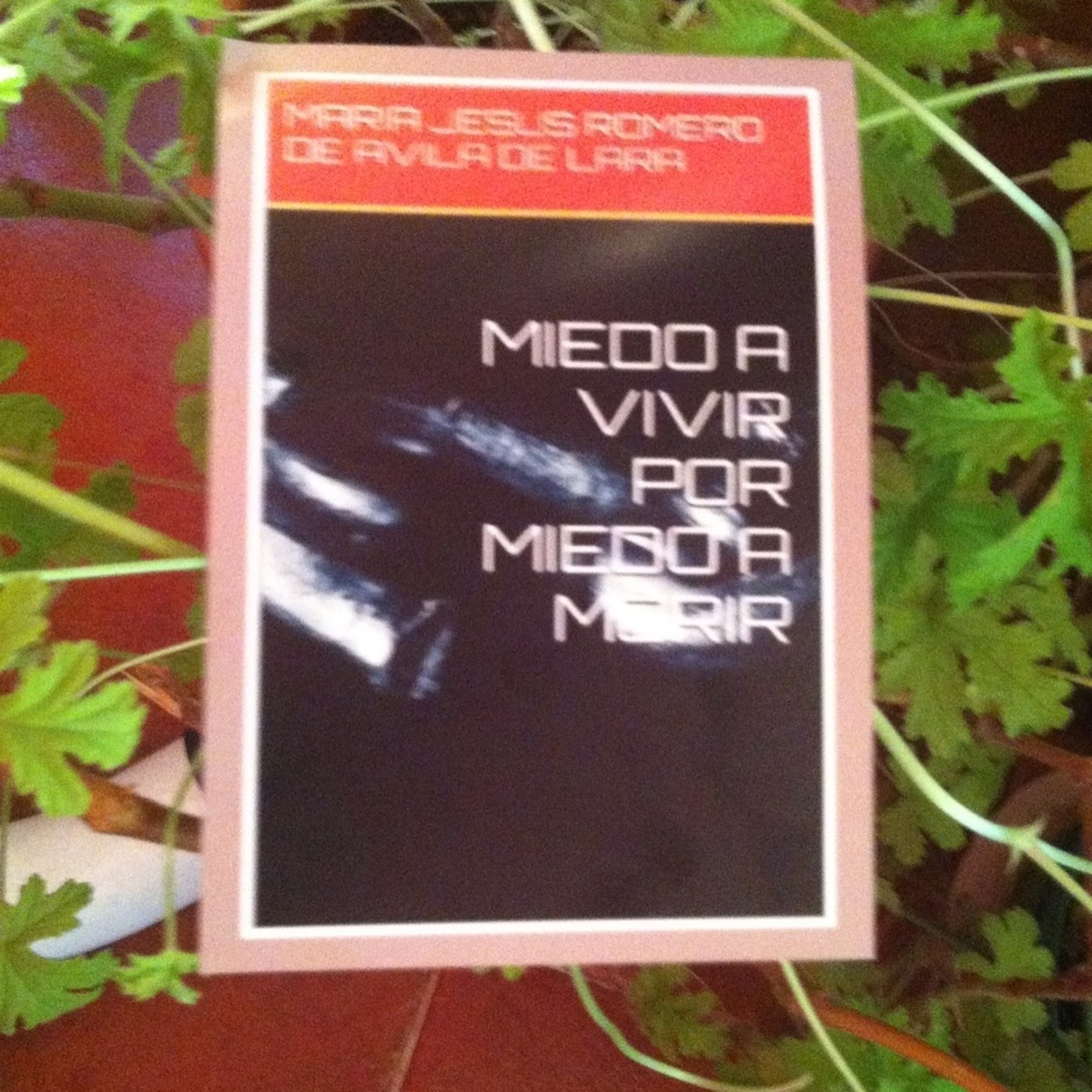 NOVELA MIEDO A VIVIR POR MIEDO A MORIR CAPITULO OCTAVO episode artwork