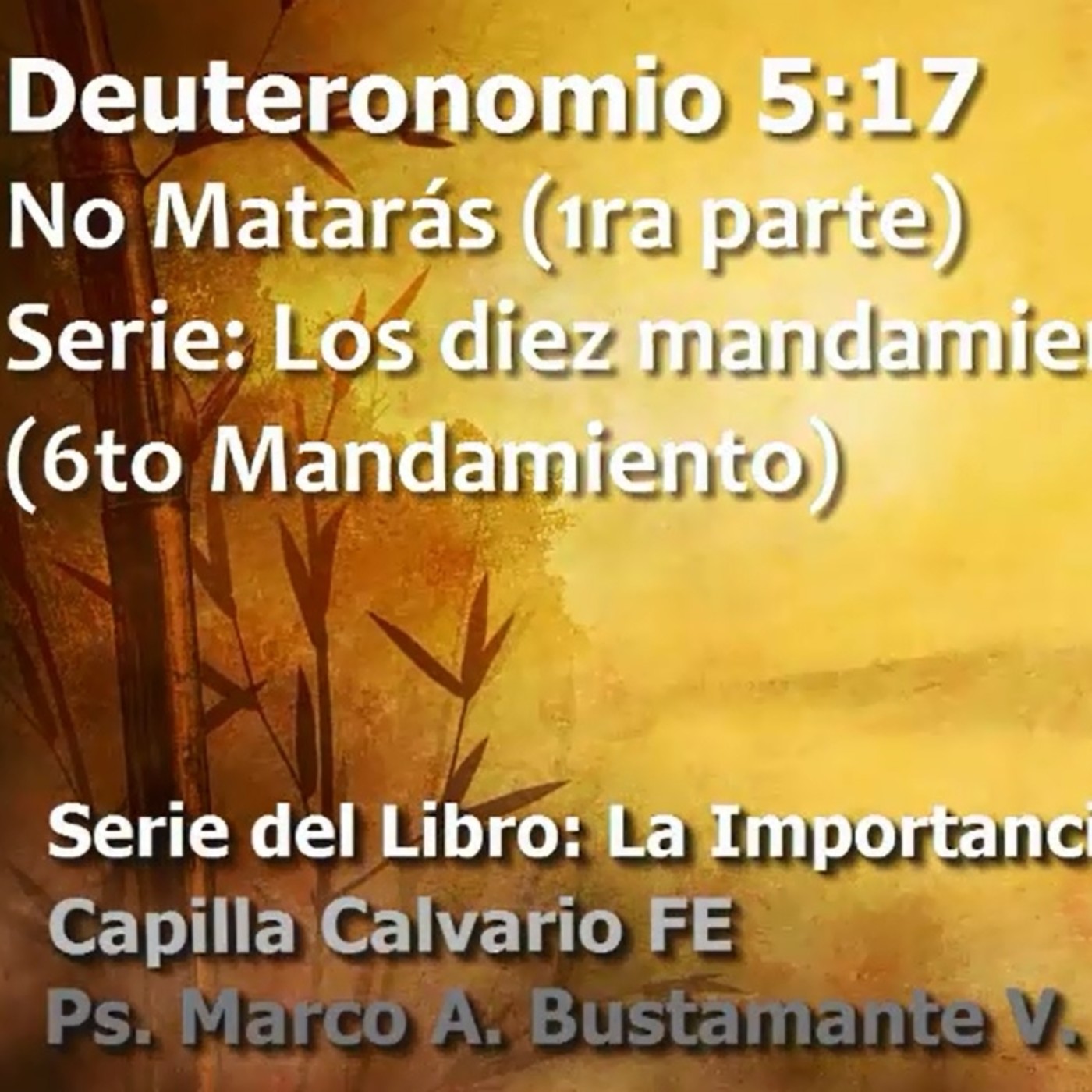 Deuteronomio - La importancia de la obediencia