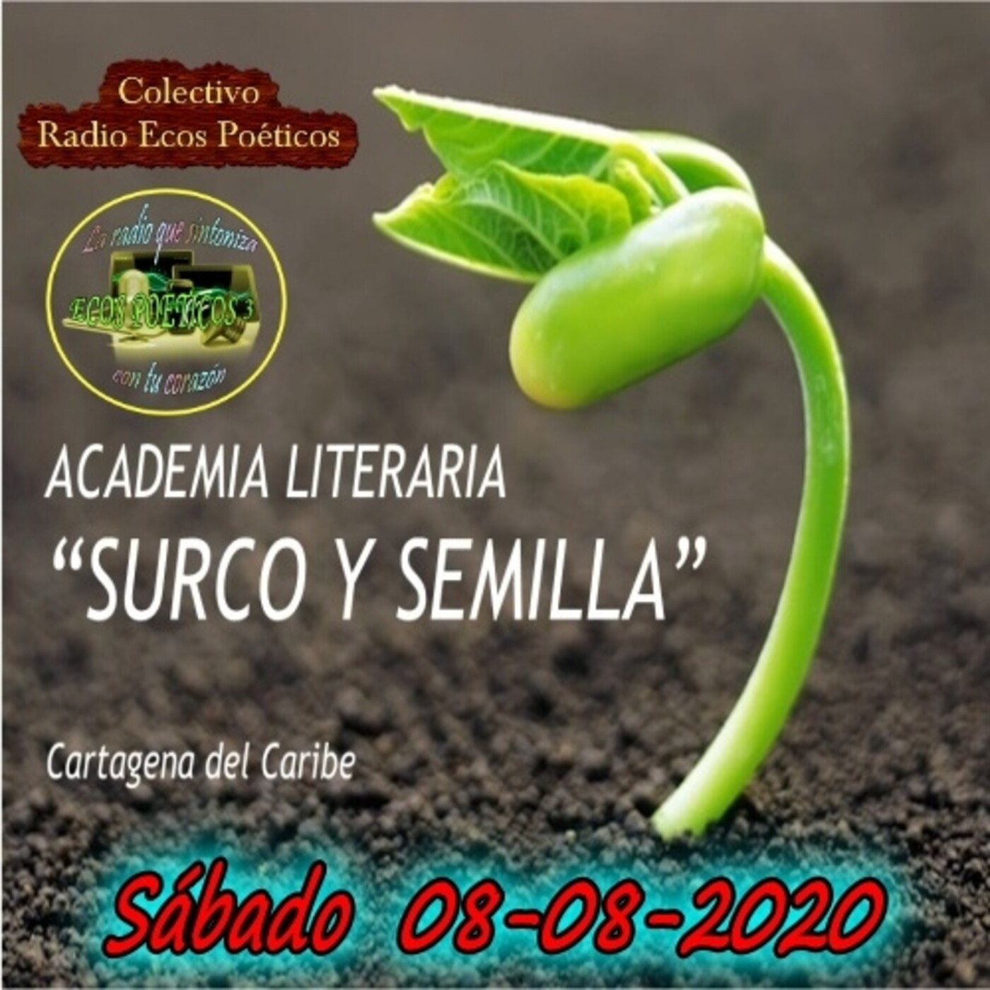 ACADEMIA LITERARIA SURCO Y SEMILLA