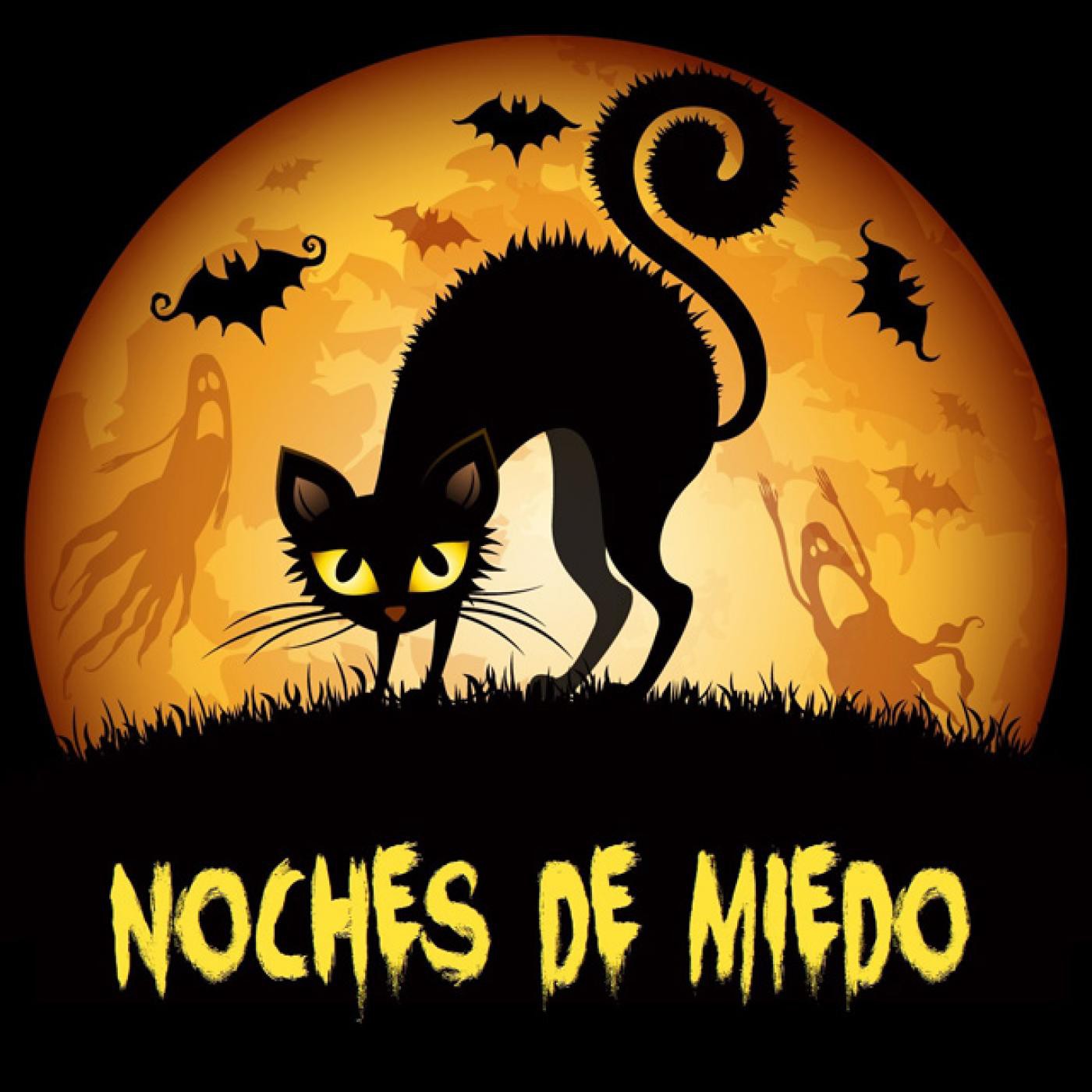 NOCHES DE MIEDO