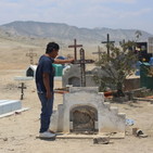 embed image