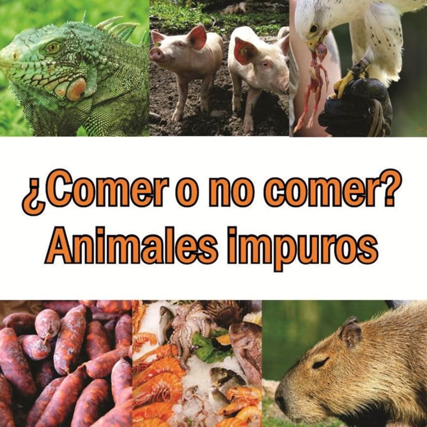 Enseñanzas varias