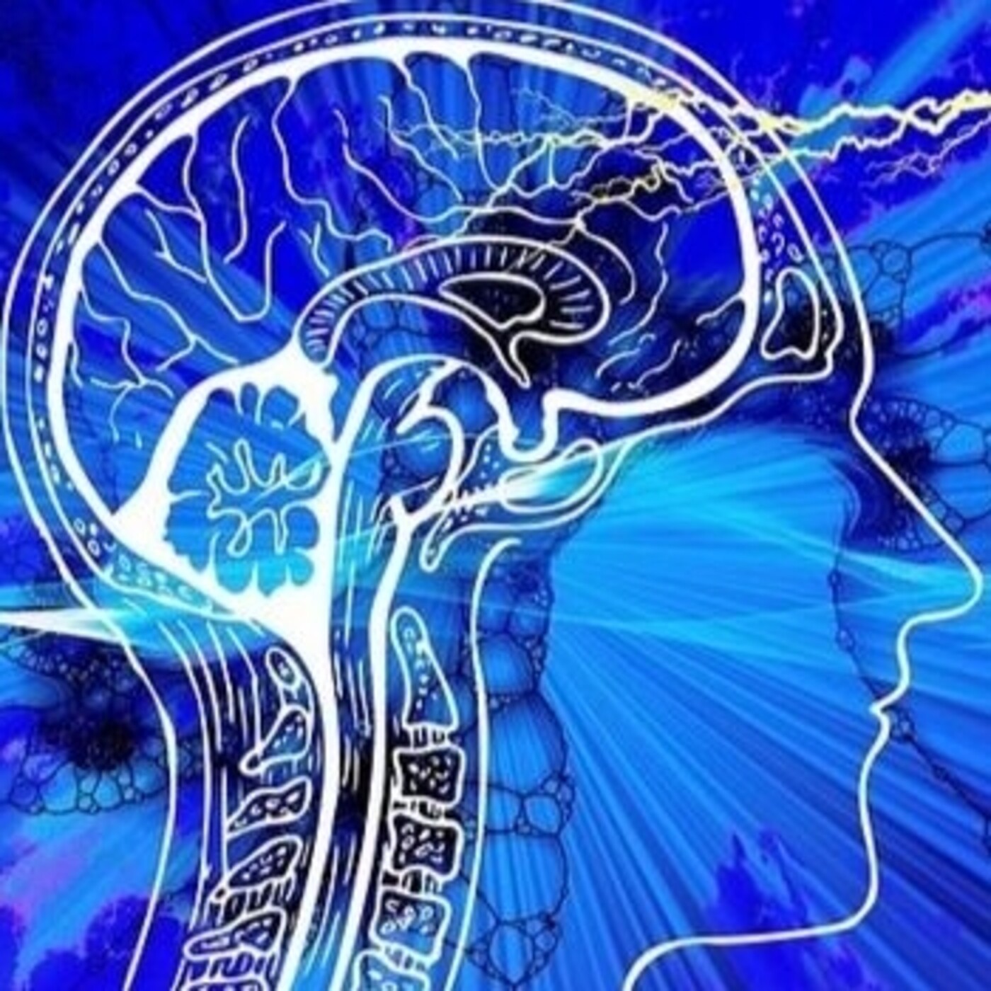 Sesiones divulgativas