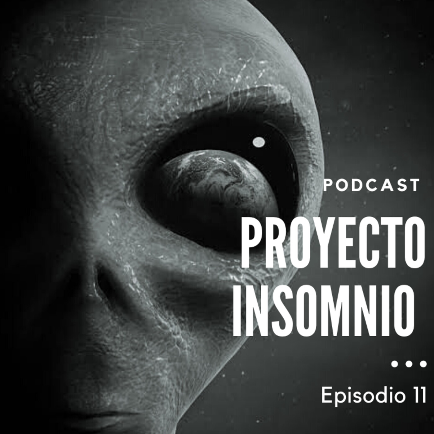 Proyecto Insomnio