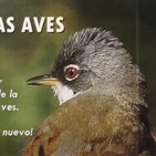 Día Mundial de las Aves